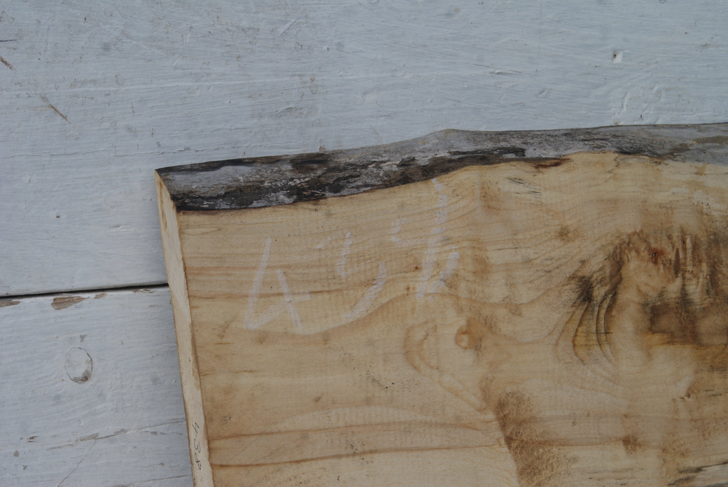 Sycamore 622 L x 273 - 265 W x 40 D (mm) (438)