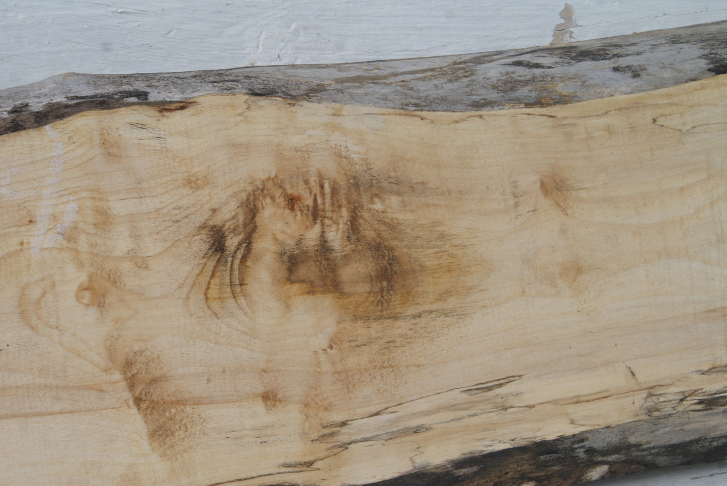 Sycamore 622 L x 273 - 265 W x 40 D (mm) (438)