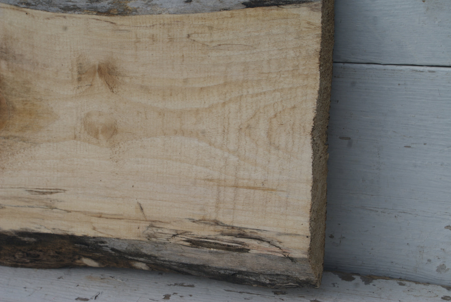 Sycamore 622 L x 273 - 265 W x 40 D (mm) (438)