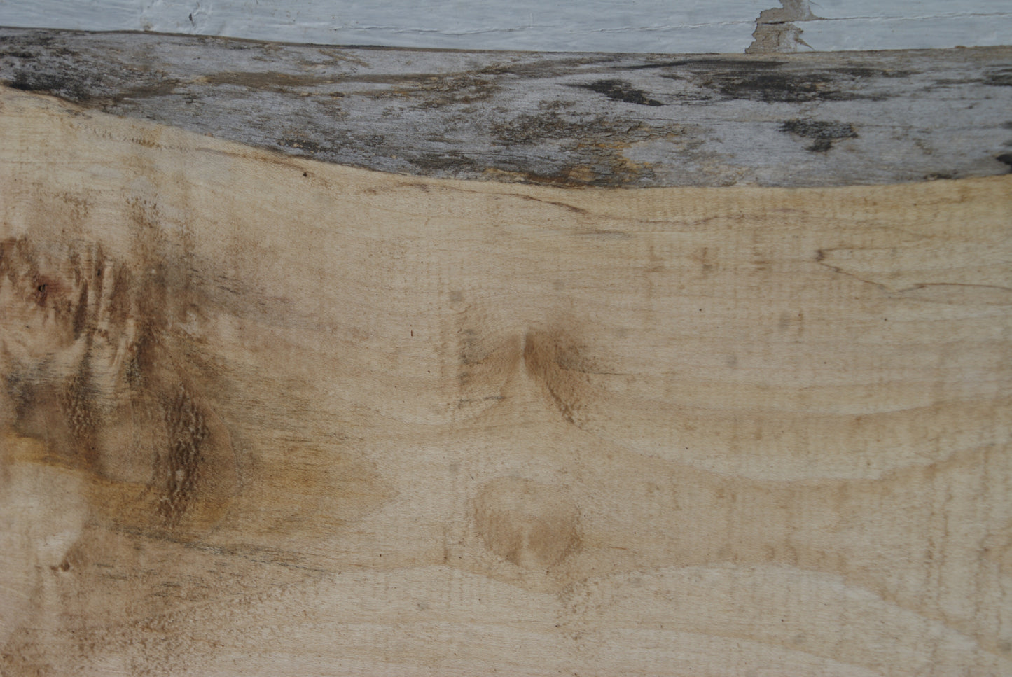Sycamore 622 L x 273 - 265 W x 40 D (mm) (438)