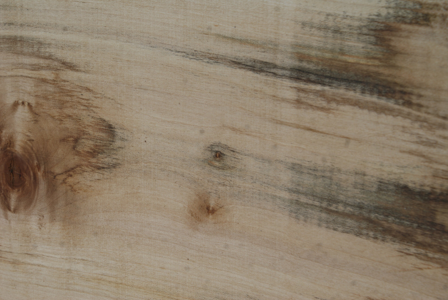 Sycamore 622 L x 273 - 265 W x 40 D (mm) (438)