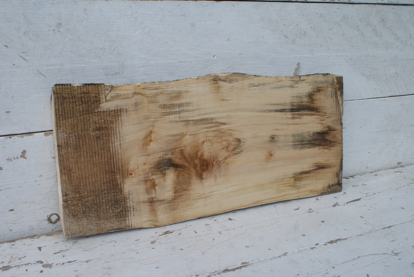 Sycamore 622 L x 273 - 265 W x 40 D (mm) (438)