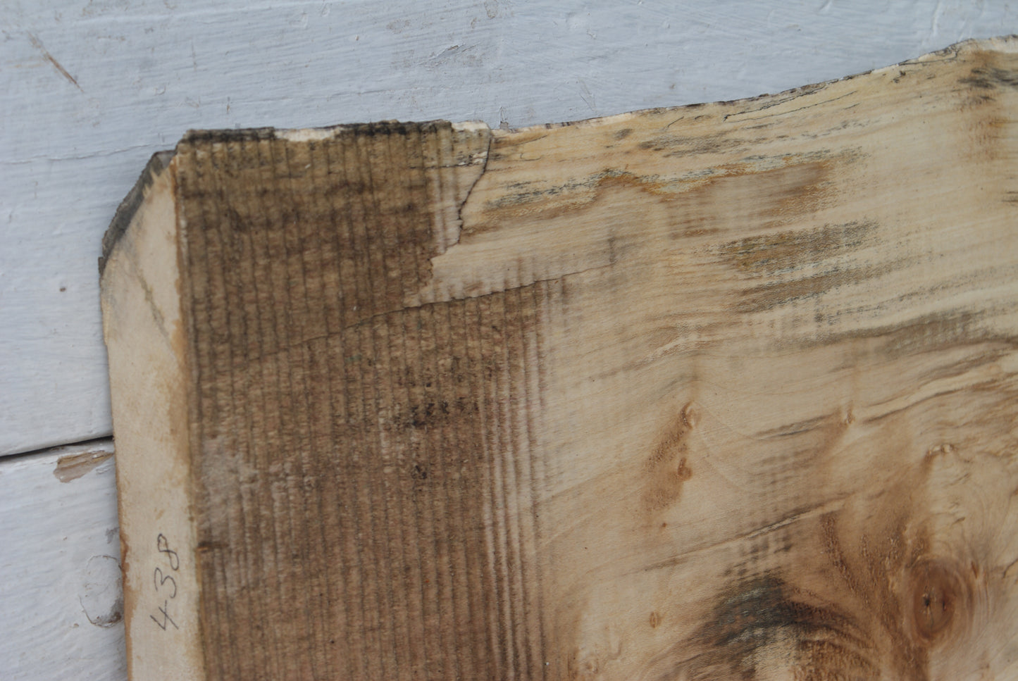 Sycamore 622 L x 273 - 265 W x 40 D (mm) (438)
