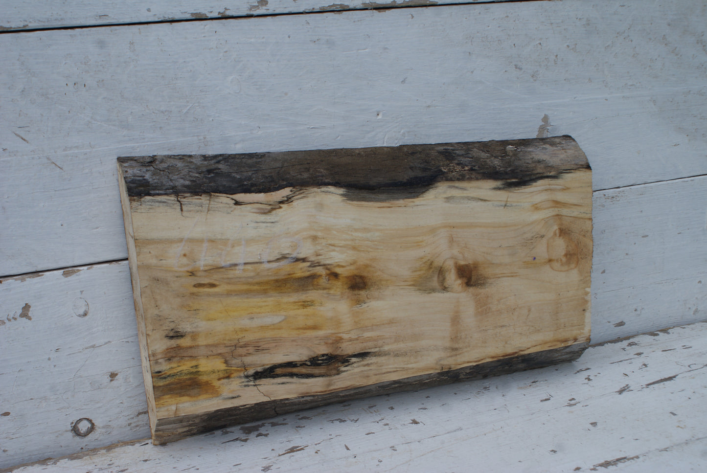 Sycamore 500 L x 290 - 265 W x 43 D (mm) (440)