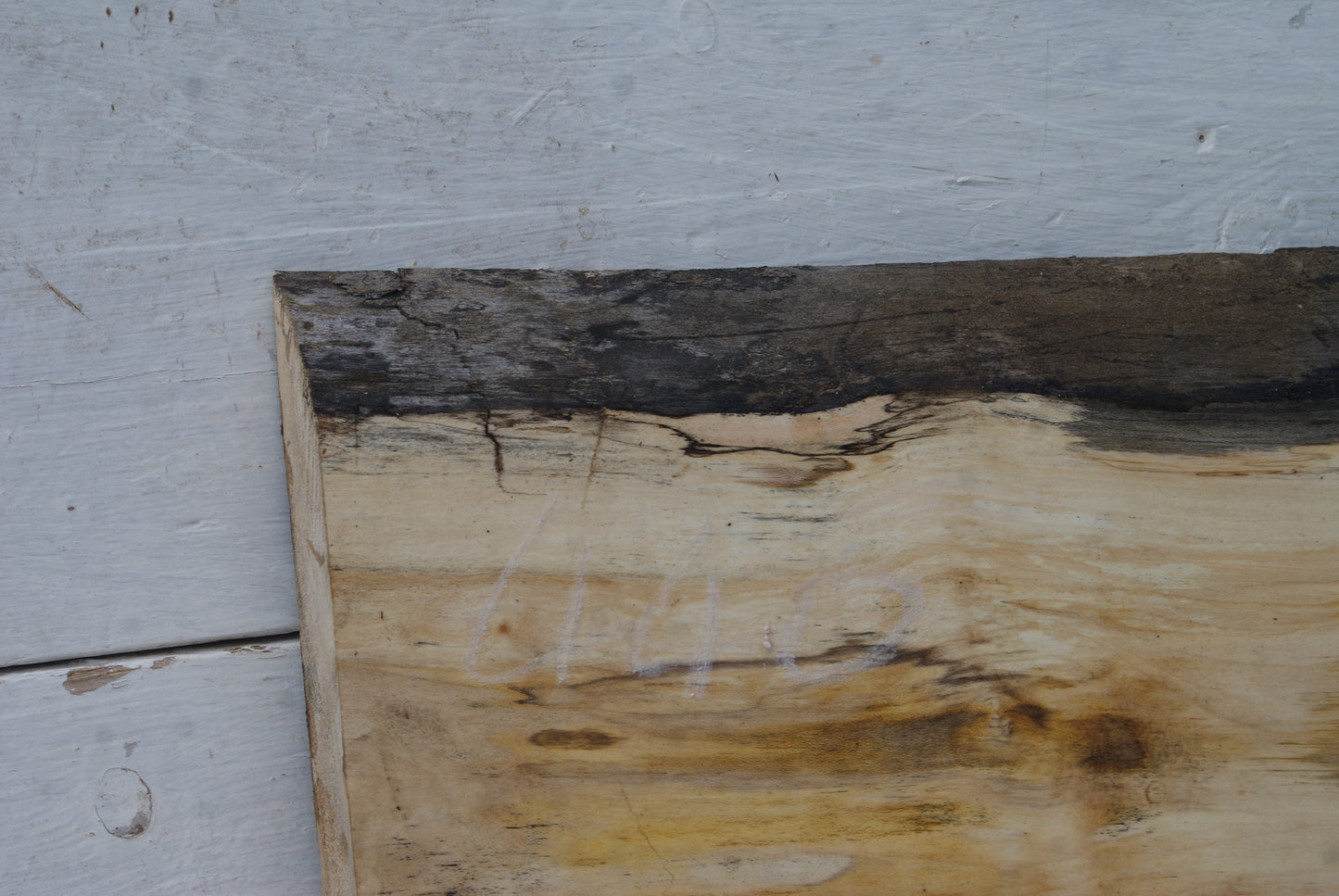 Sycamore 500 L x 290 - 265 W x 43 D (mm) (440)