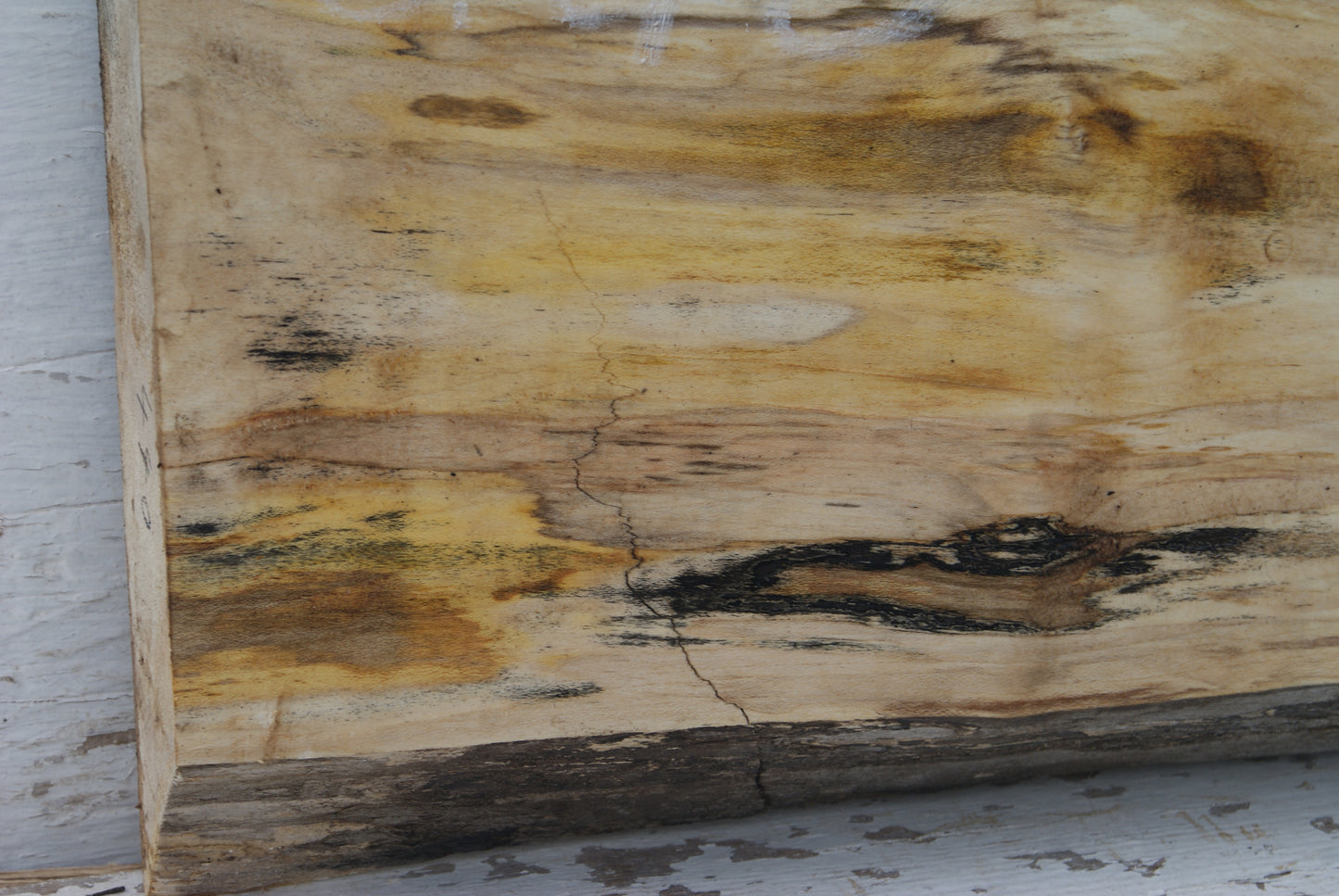 Sycamore 500 L x 290 - 265 W x 43 D (mm) (440)