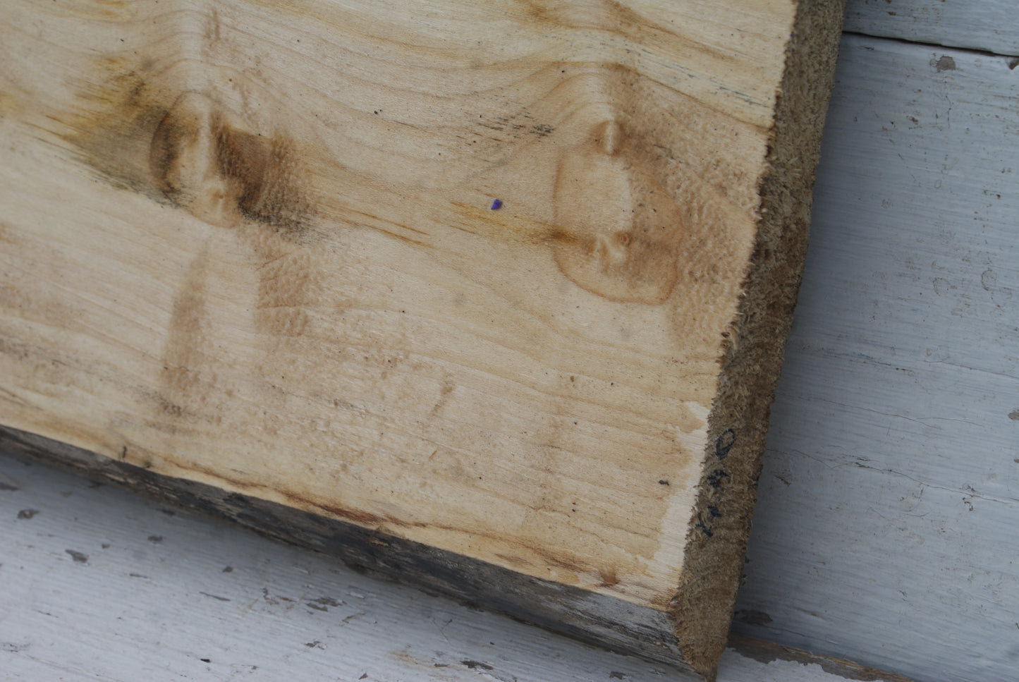 Sycamore 500 L x 290 - 265 W x 43 D (mm) (440)