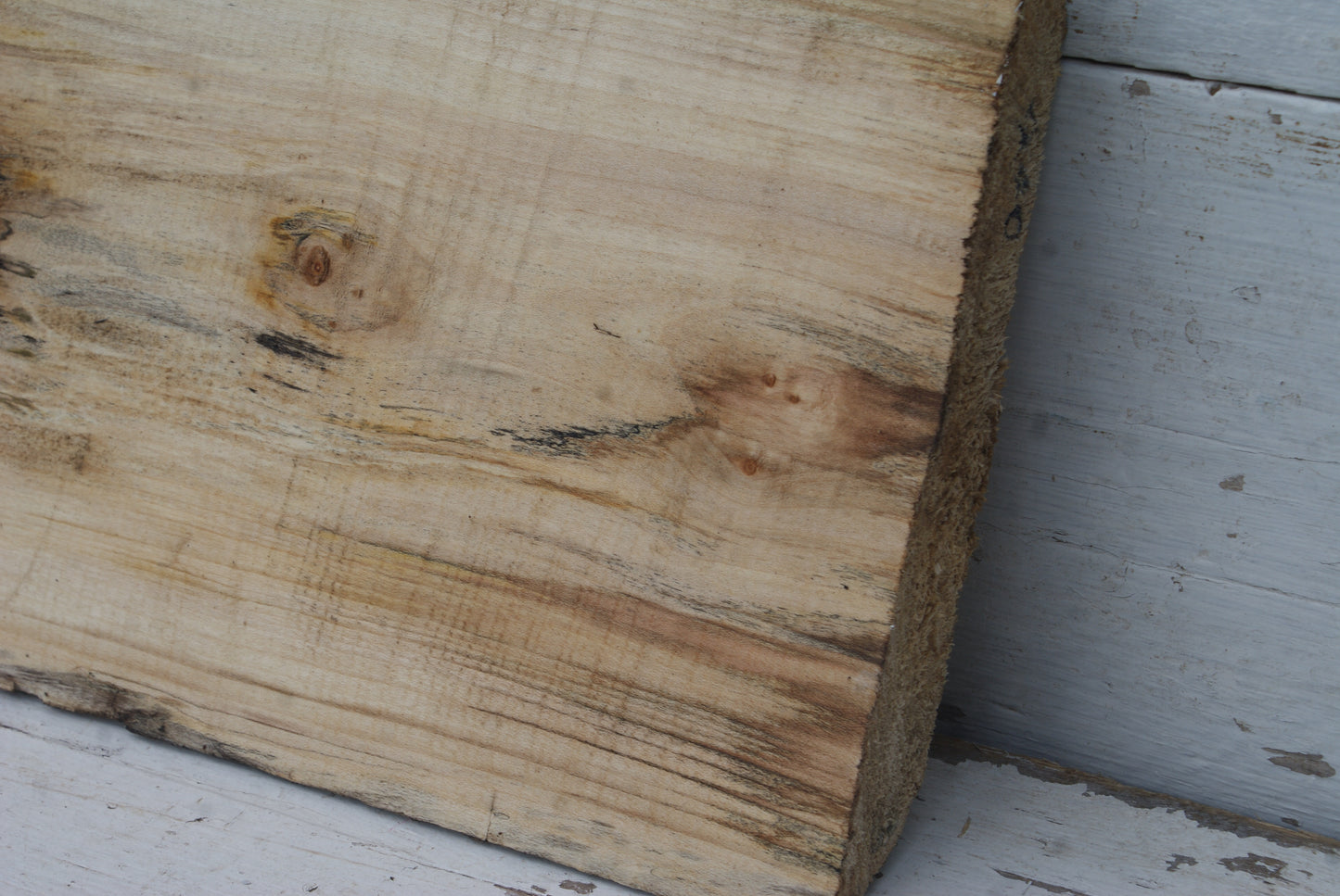 Sycamore 500 L x 290 - 265 W x 43 D (mm) (440)