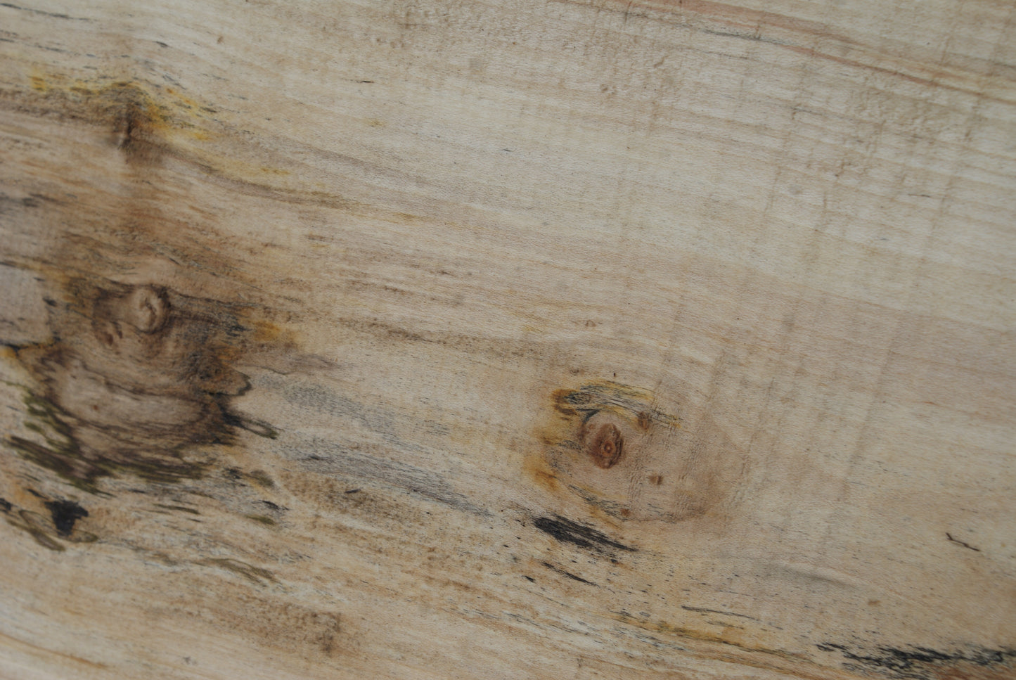 Sycamore 500 L x 290 - 265 W x 43 D (mm) (440)