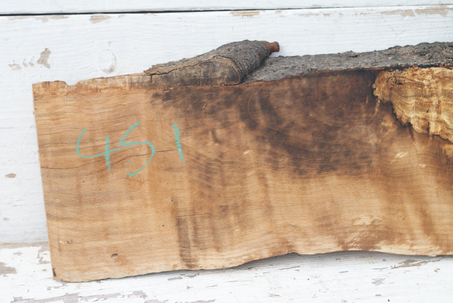 Spalted Beech 799 L x 335 - 157 W x 49 D (mm) ( 451 )
