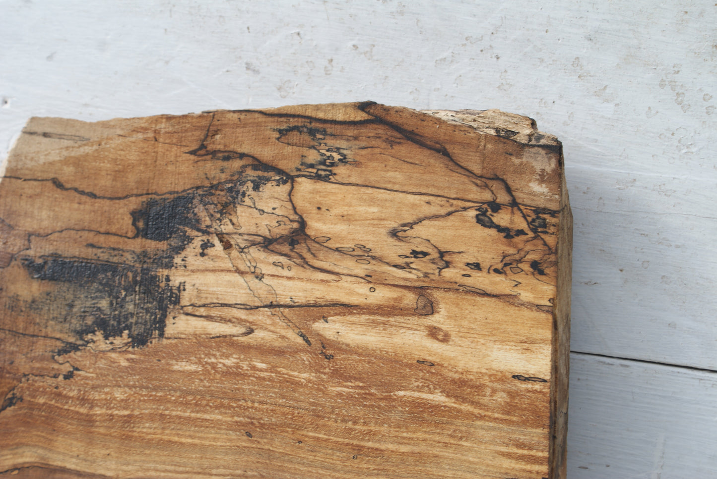 Spalted Beech 799 L x 335 - 157 W x 49 D (mm) ( 451 )