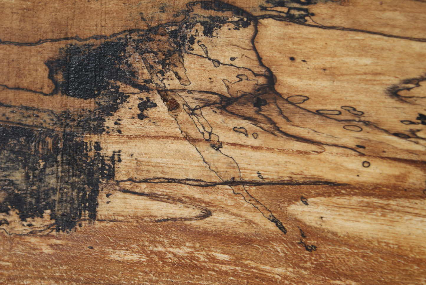 Spalted Beech 799 L x 335 - 157 W x 49 D (mm) ( 451 )
