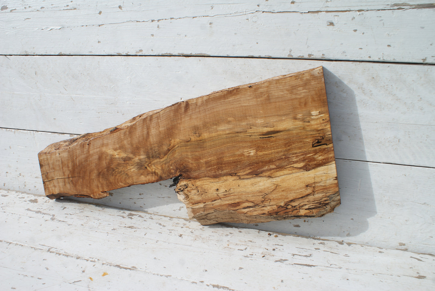 Spalted Beech 799 L x 335 - 157 W x 49 D (mm) ( 451 )