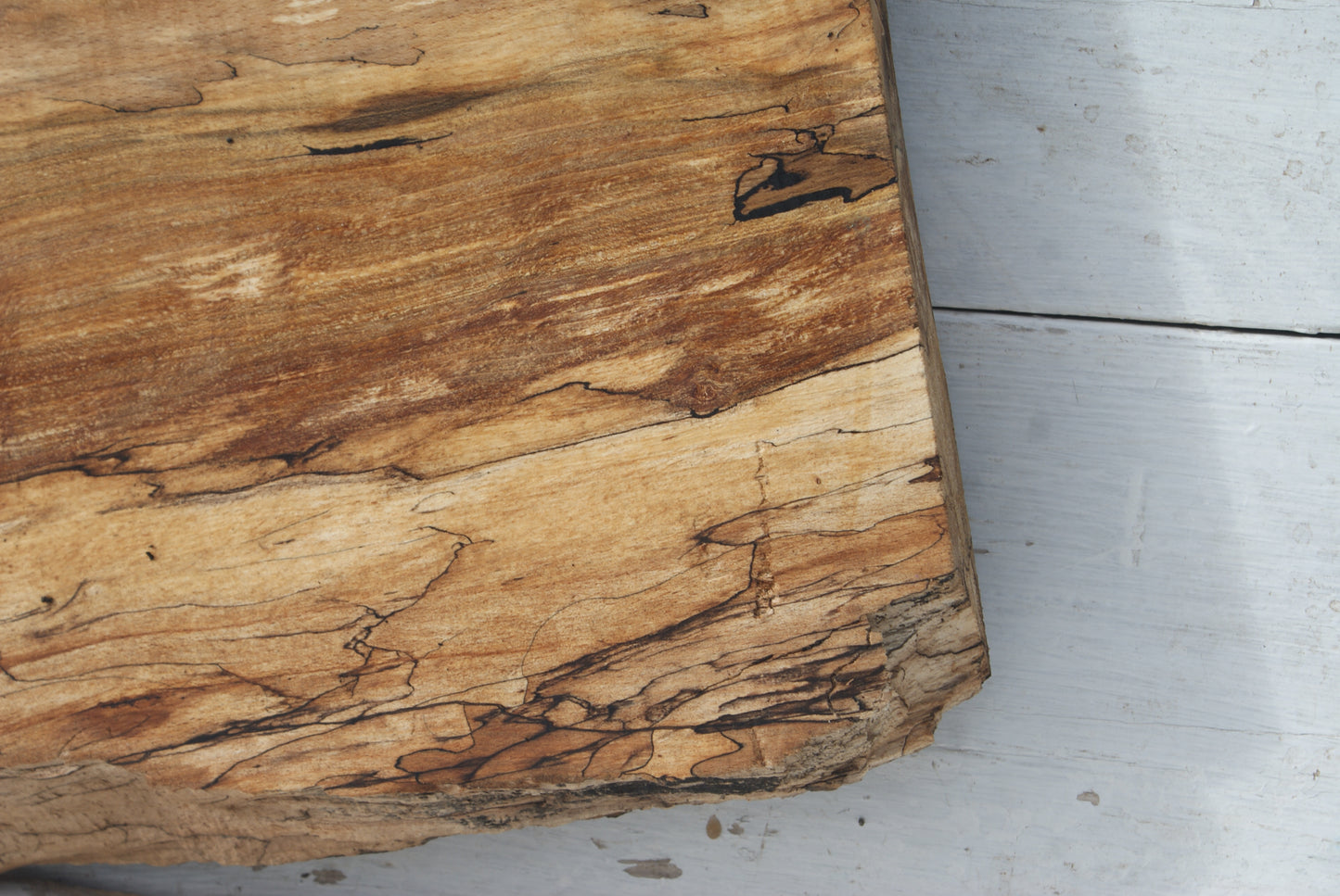 Spalted Beech 799 L x 335 - 157 W x 49 D (mm) ( 451 )