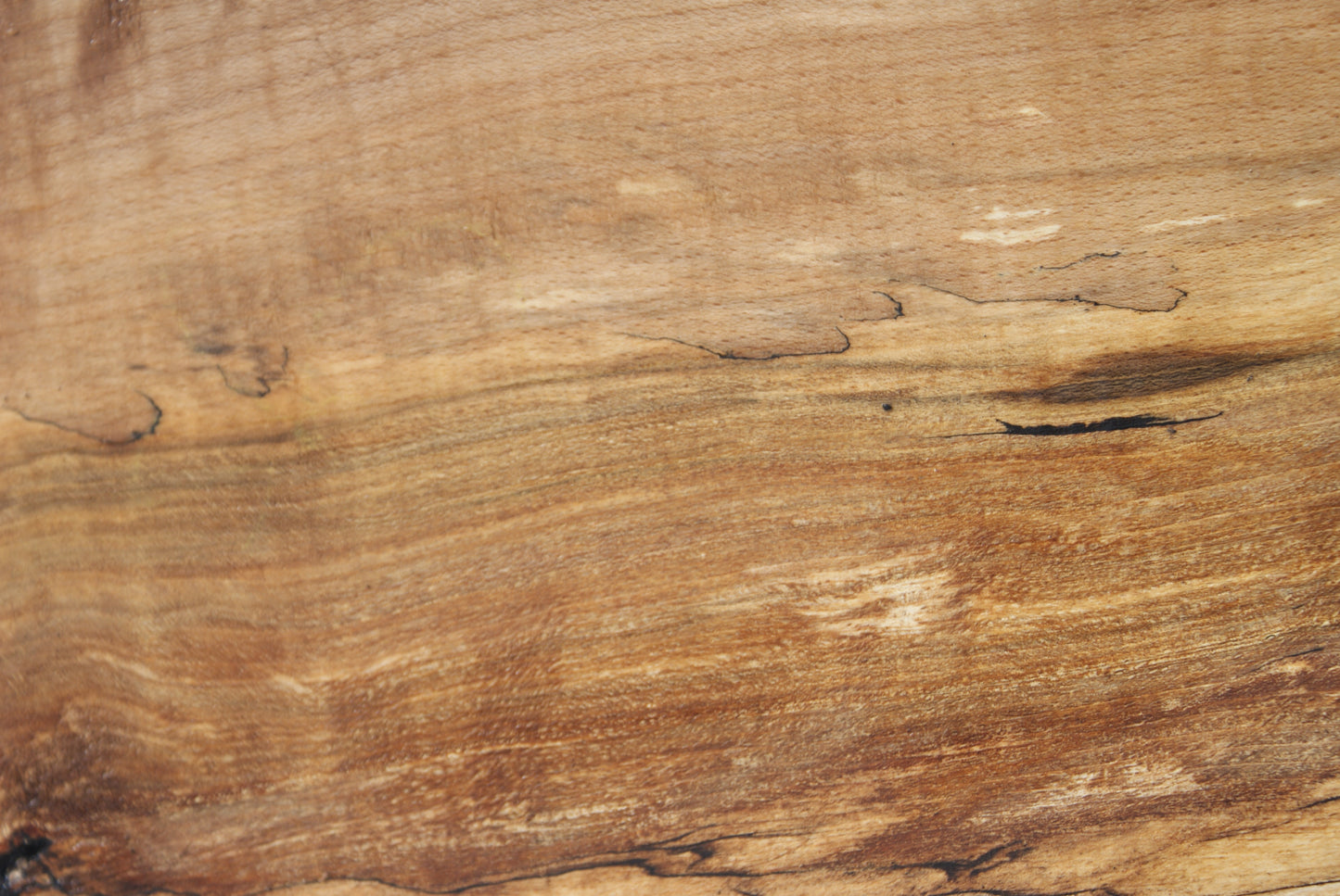 Spalted Beech 799 L x 335 - 157 W x 49 D (mm) ( 451 )