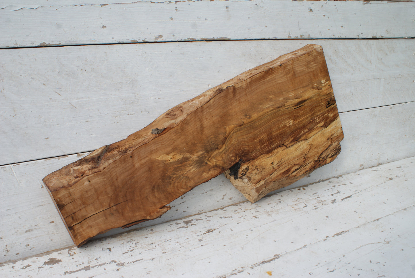 Spalted Beech 799 L x 335 - 157 W x 49 D (mm) ( 451 )