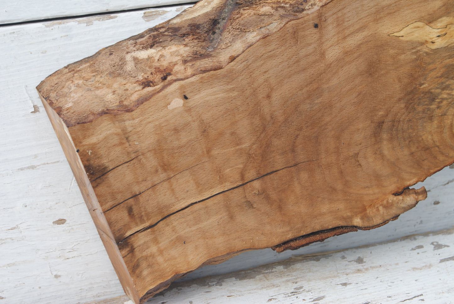 Spalted Beech 799 L x 335 - 157 W x 49 D (mm) ( 451 )