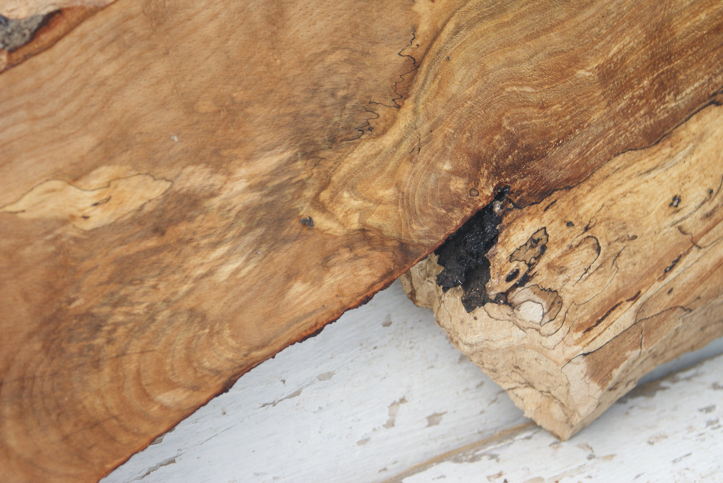 Spalted Beech 799 L x 335 - 157 W x 49 D (mm) ( 451 )