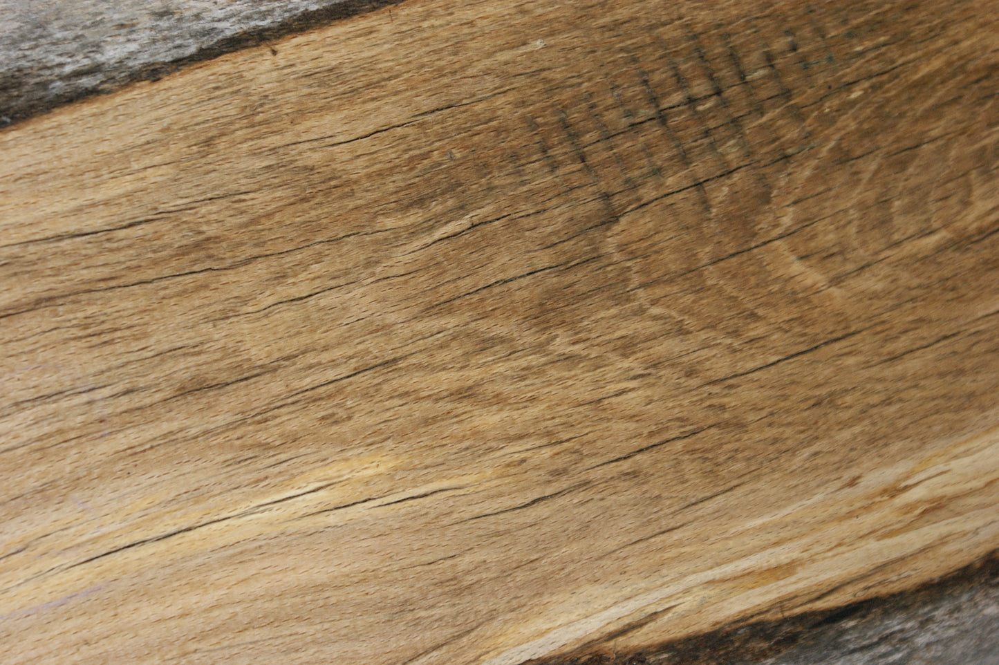 Spalted Beech 465 L x 305-265 W x 47 D (mm) (591)