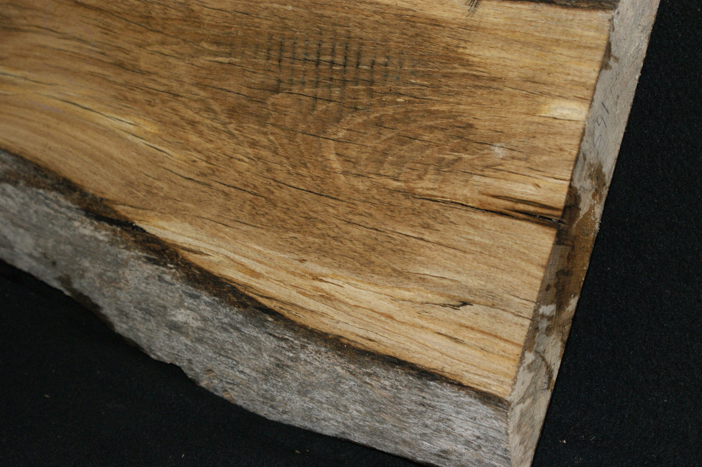 Spalted Beech 465 L x 305-265 W x 47 D (mm) (591)