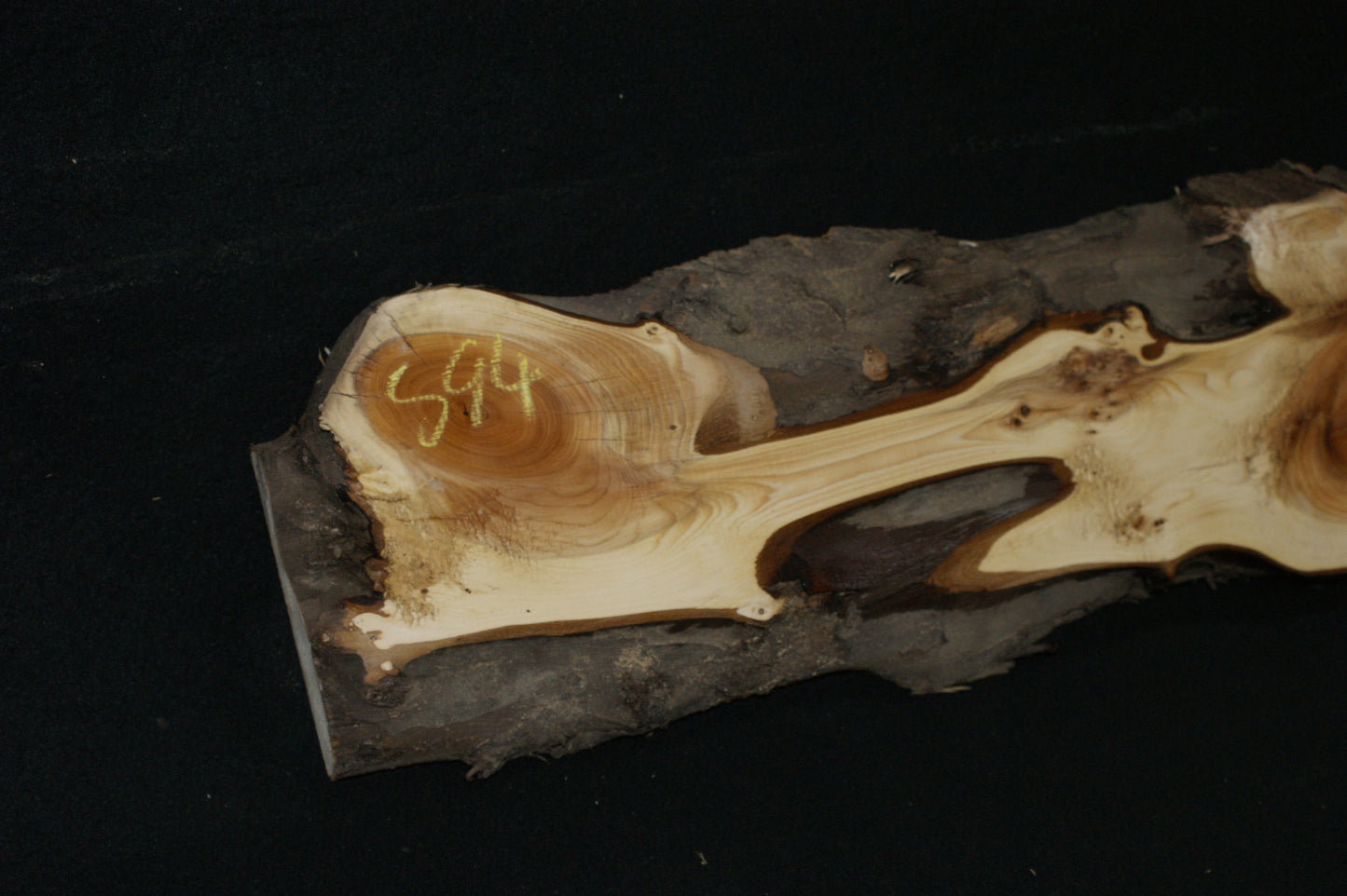 English Yew Shelf. (594)