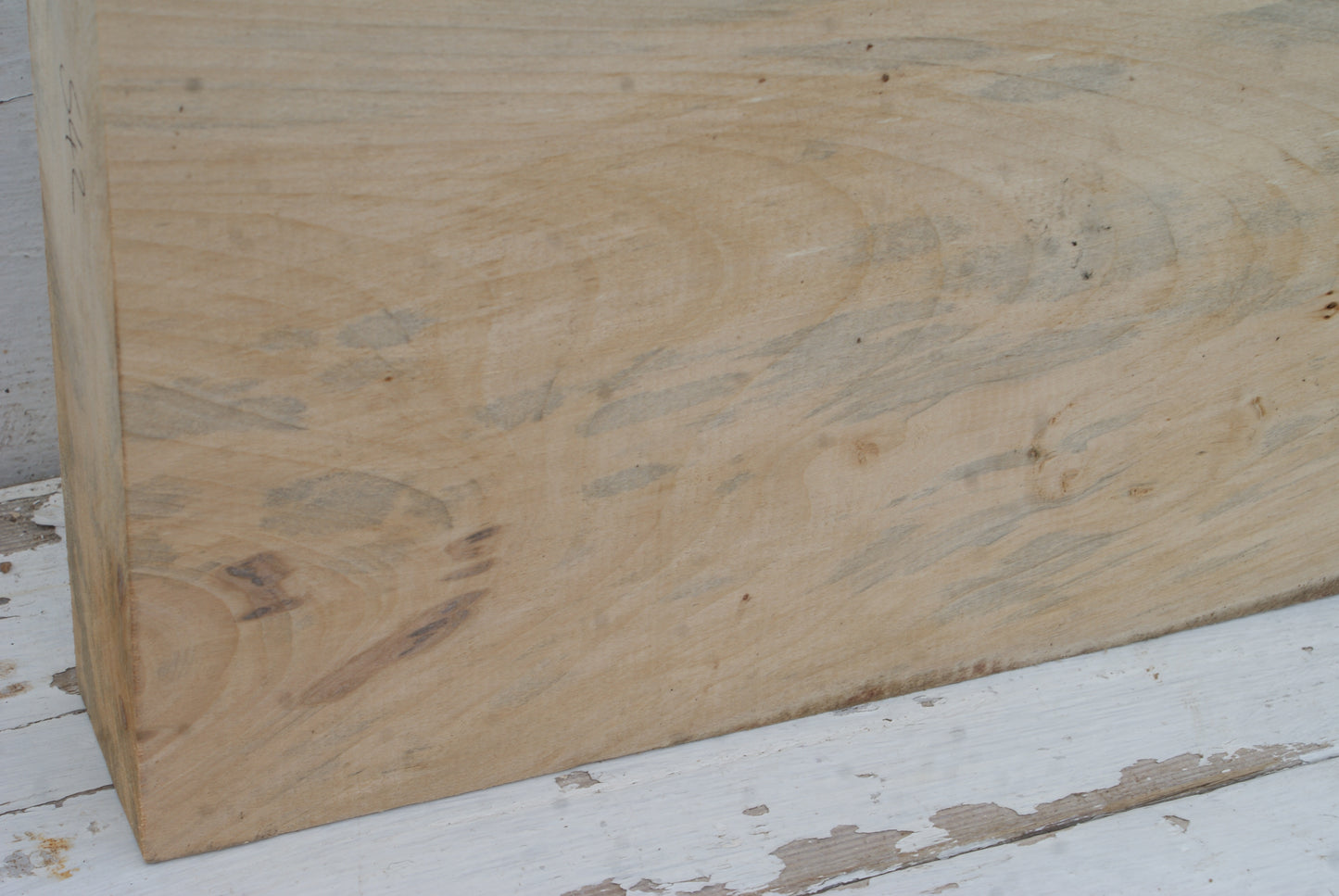 Wood Carving Lime Blocks 401 L x 256 W x 69 D (mm) (542)