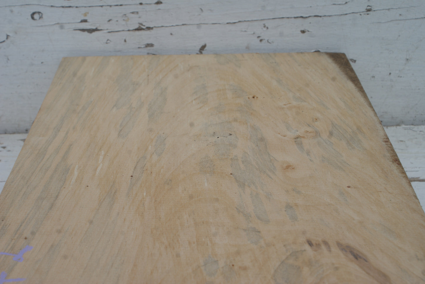 Wood Carving Lime Blocks 401 L x 256 W x 69 D (mm) (542)