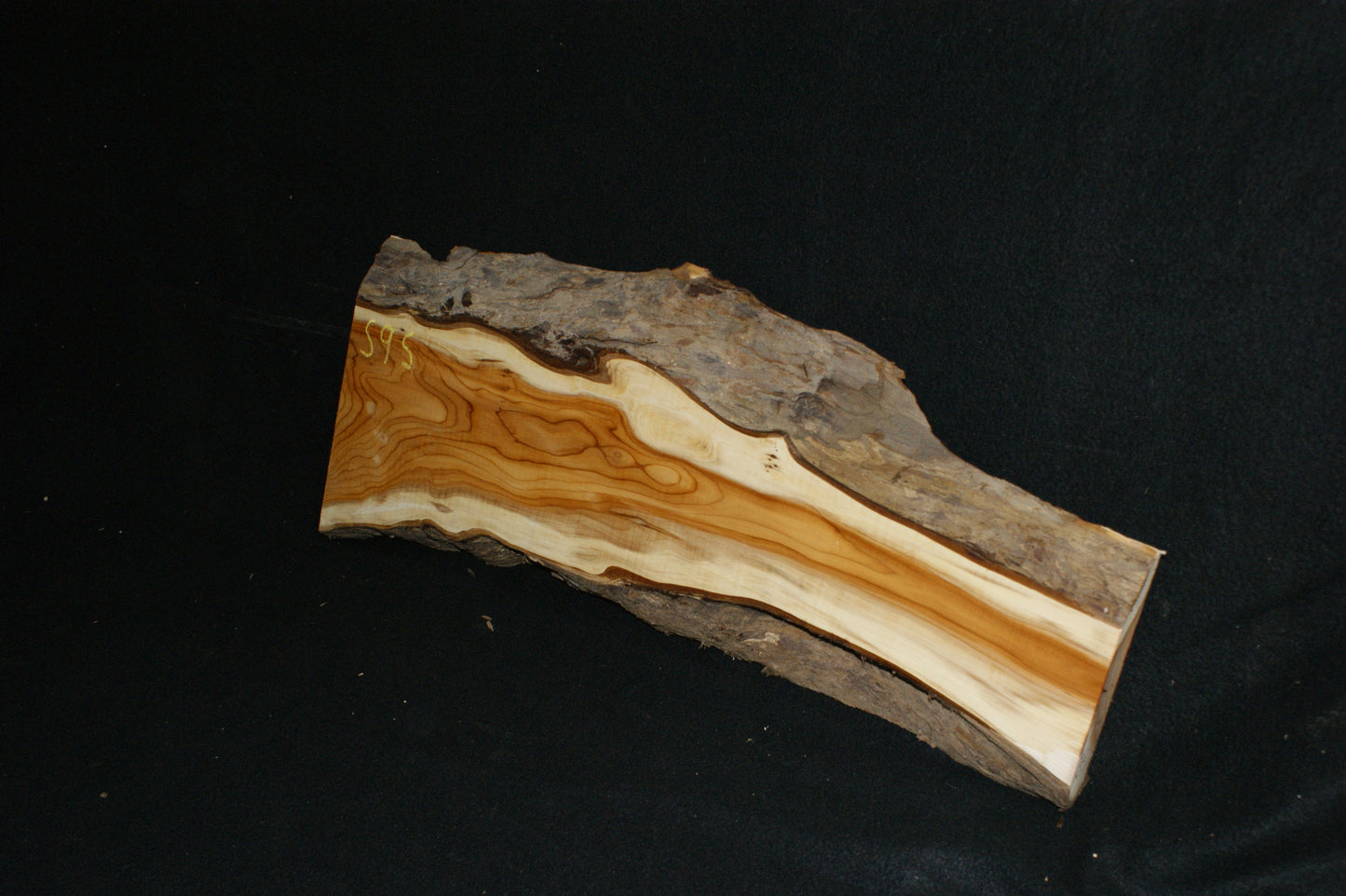English Yew Shelf. (595)