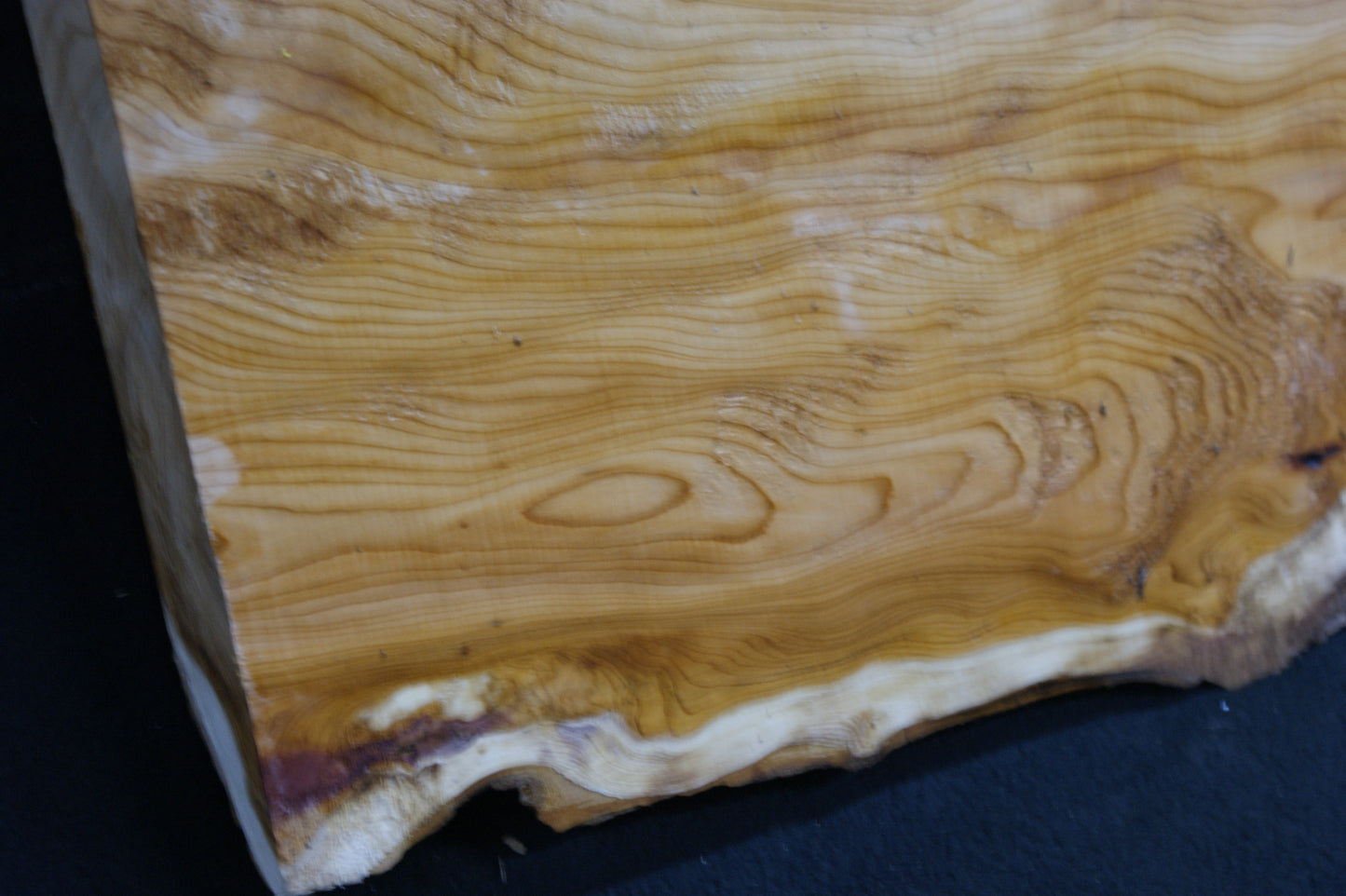 English Yew Shelf. (595)