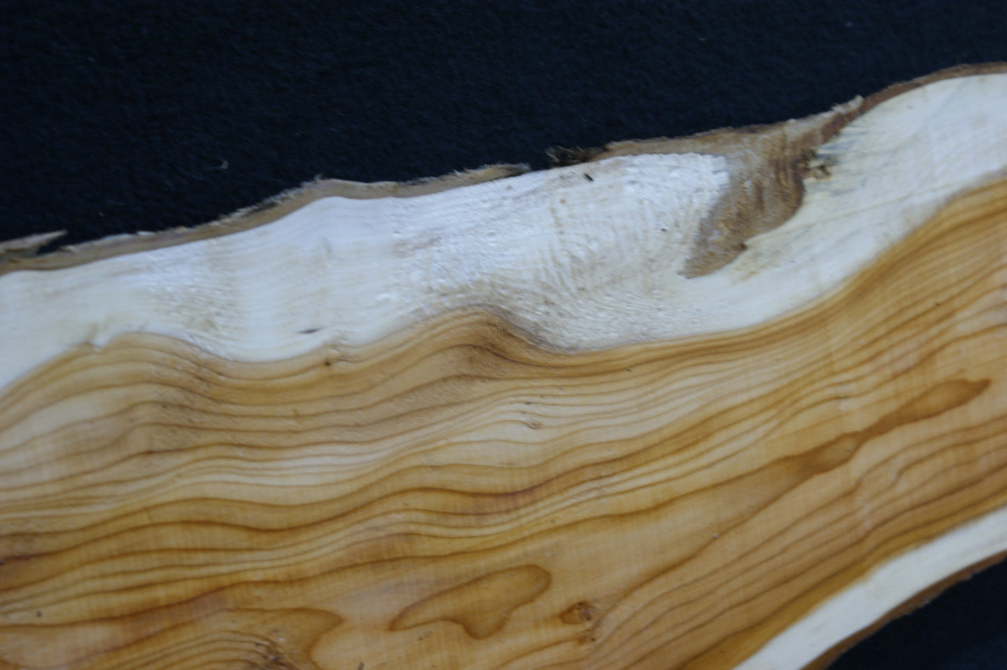 English Yew Shelf. (595)
