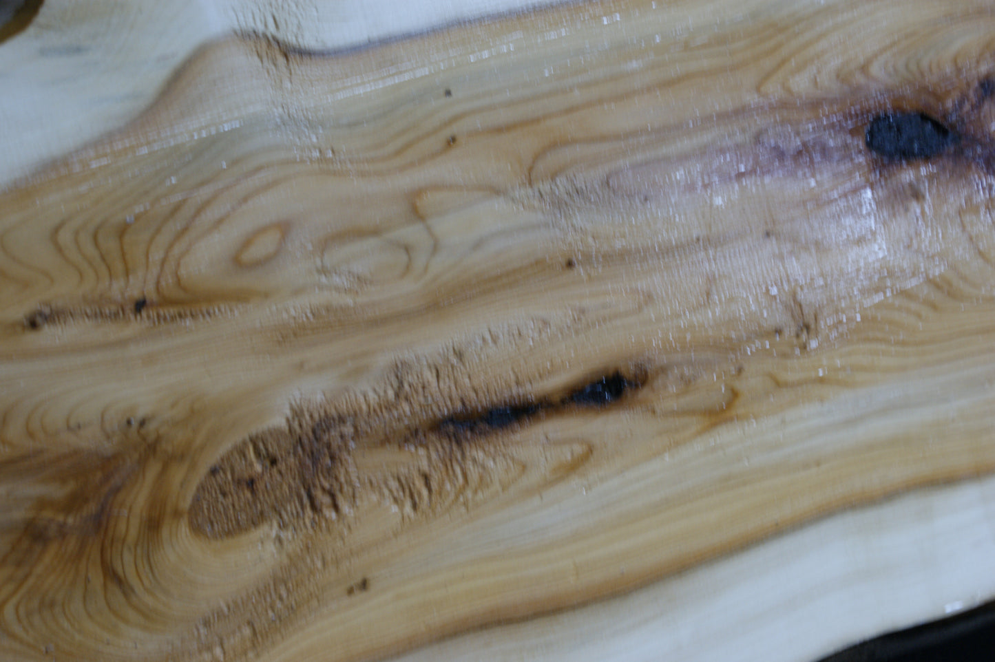 English Yew Shelf. (596)