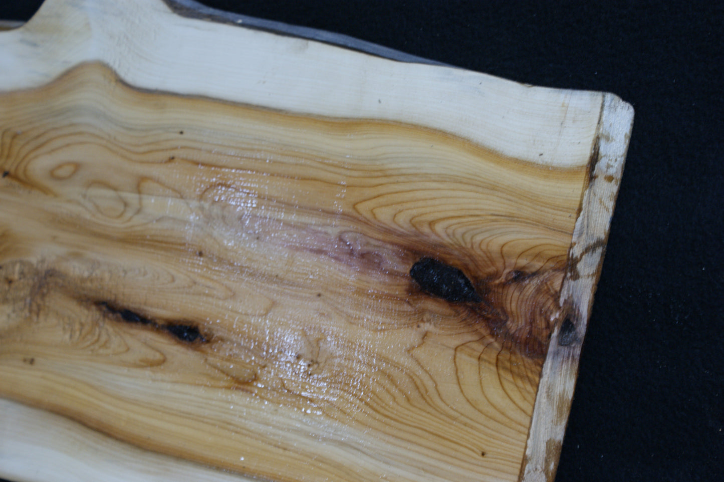 English Yew Shelf. (596)