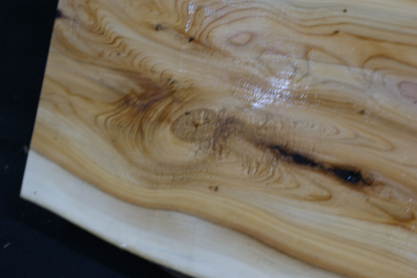 English Yew Shelf. (596)
