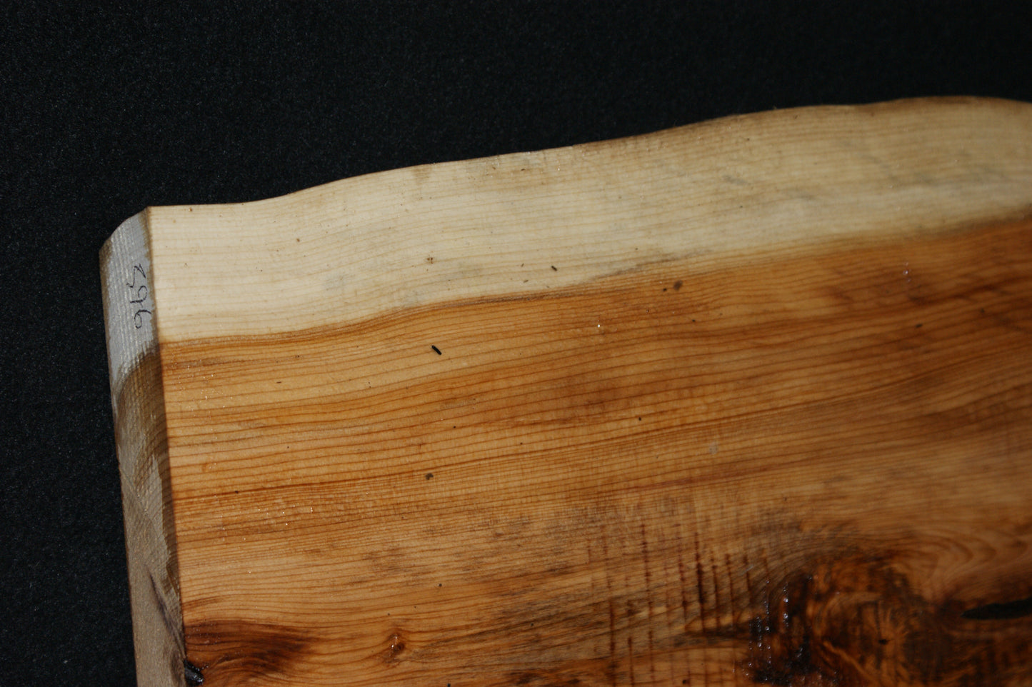 English Yew Shelf. (596)