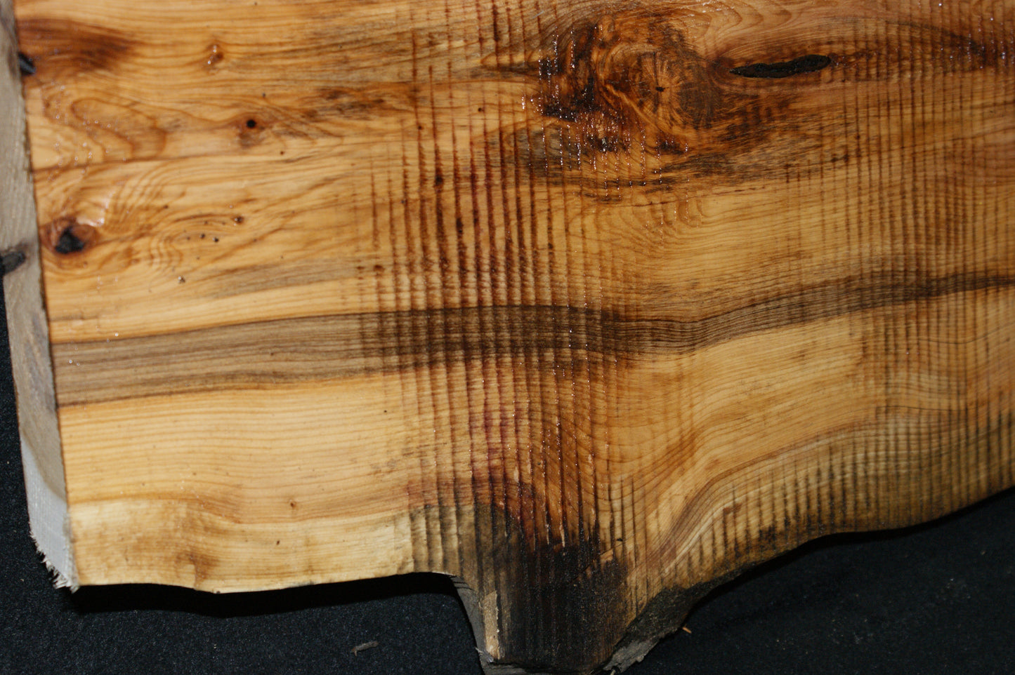 English Yew Shelf. (596)
