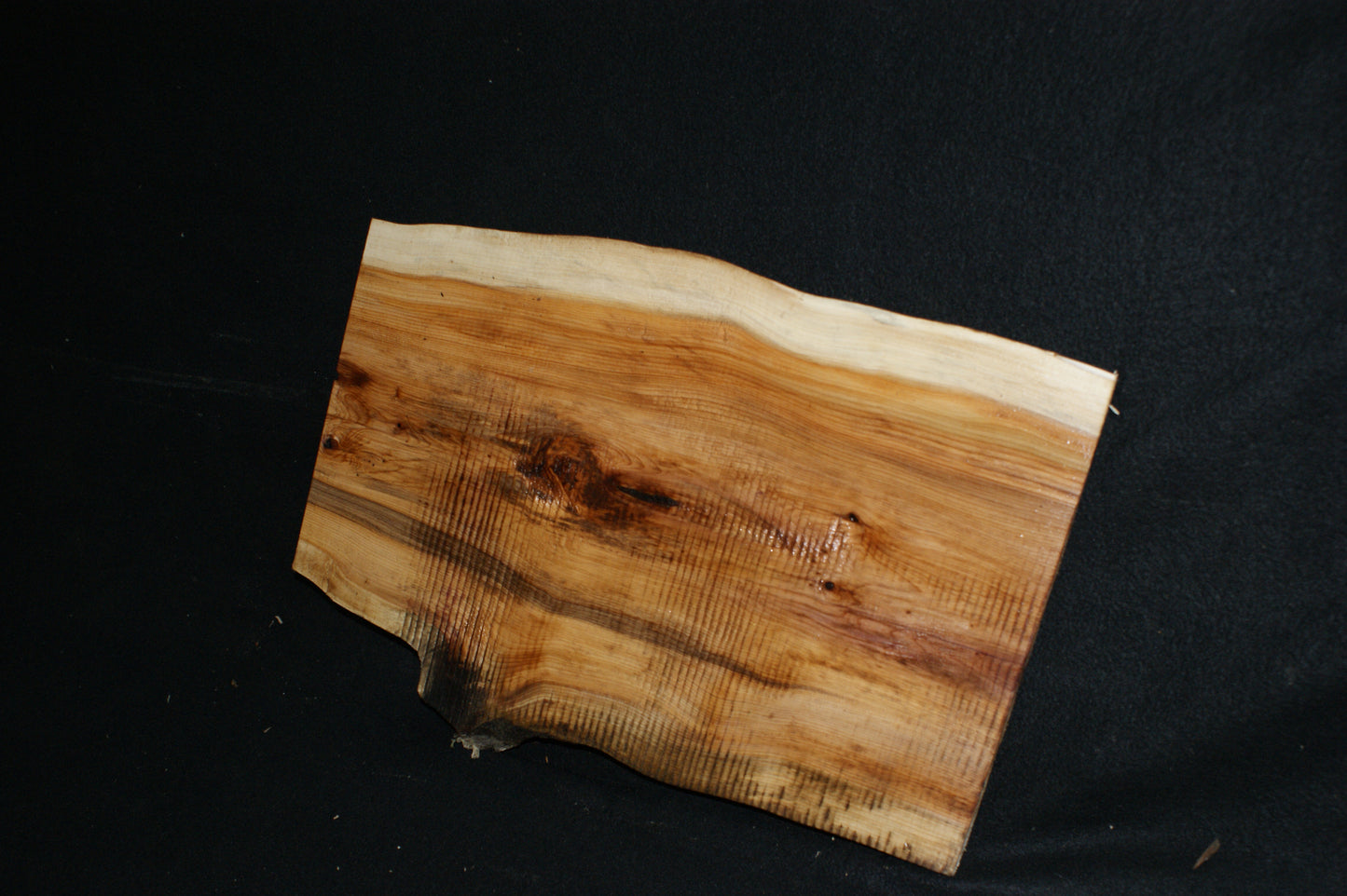 English Yew Shelf. (596)