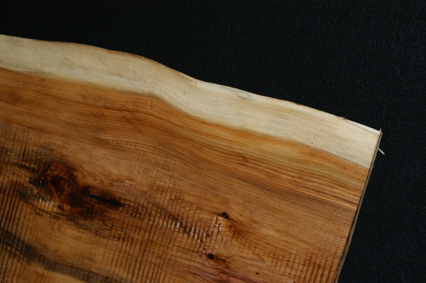 English Yew Shelf. (596)