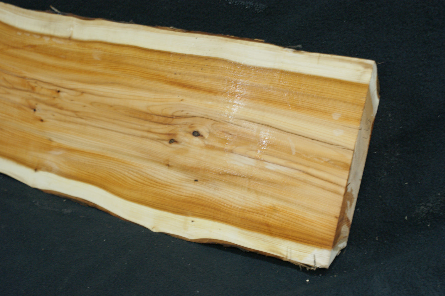 English Yew Shelf. (597)