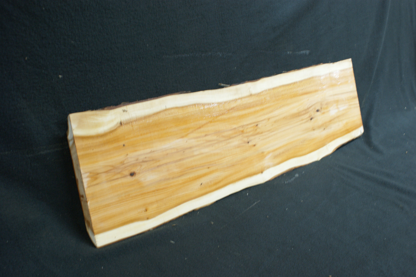 English Yew Shelf. (597)