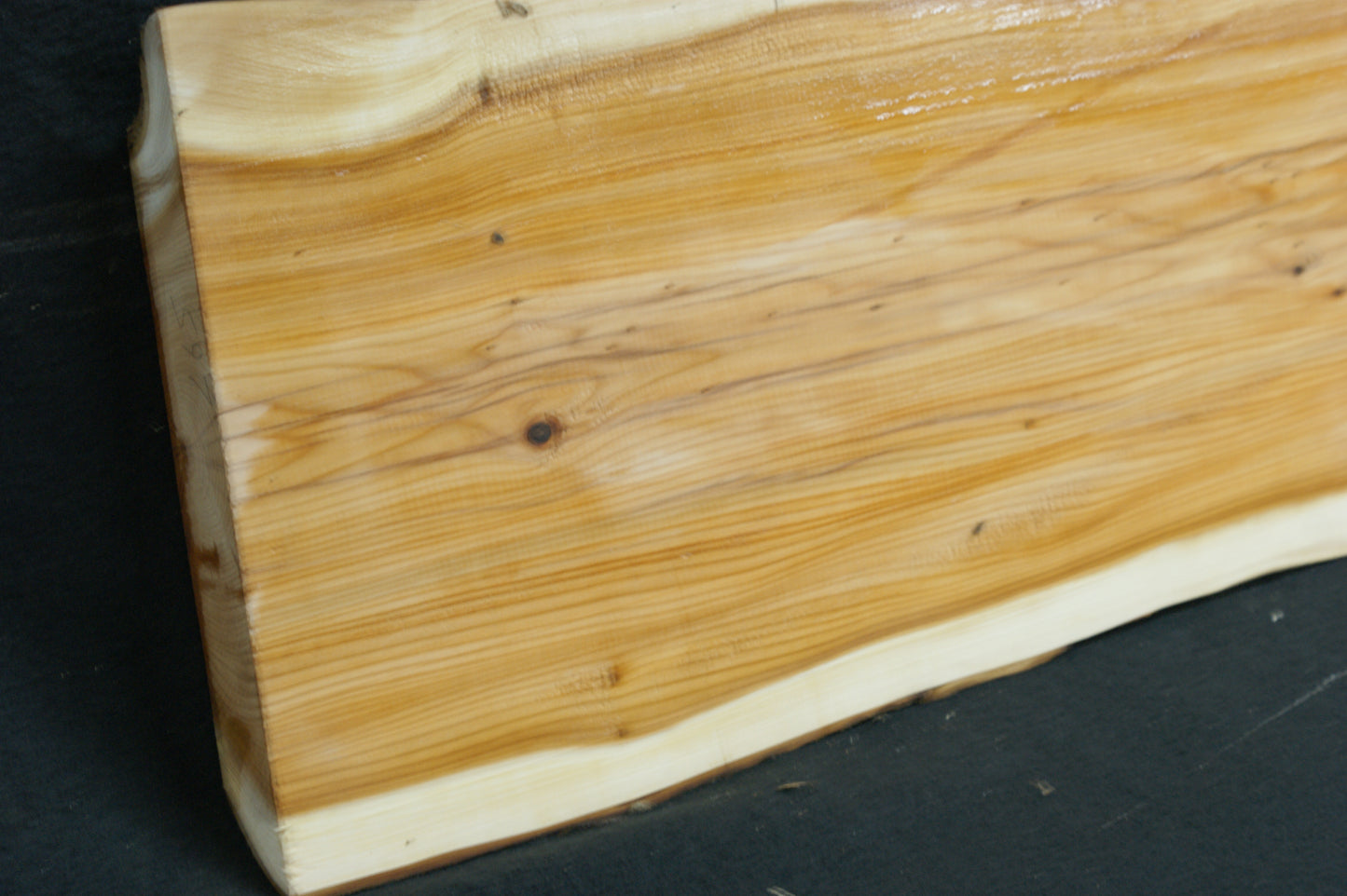 English Yew Shelf. (597)