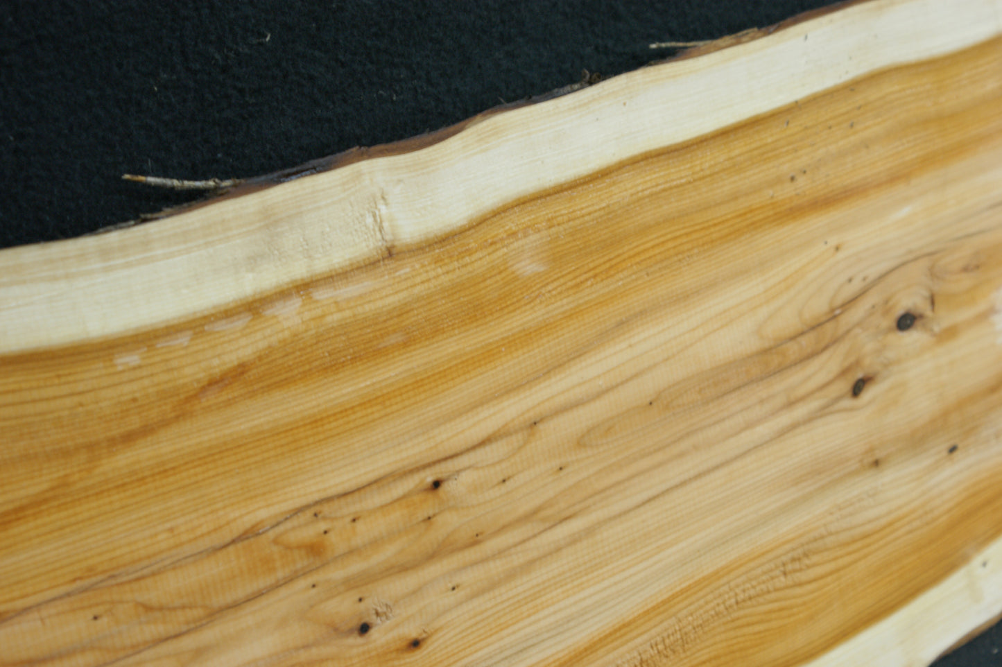 English Yew Shelf. (597)