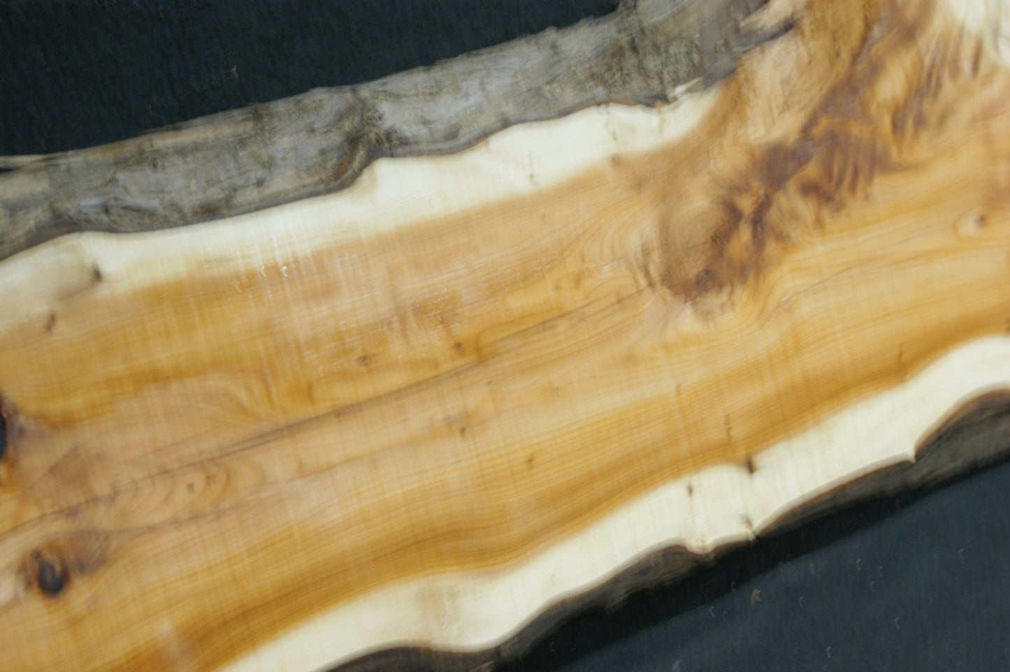 English Yew Shelf. (598)