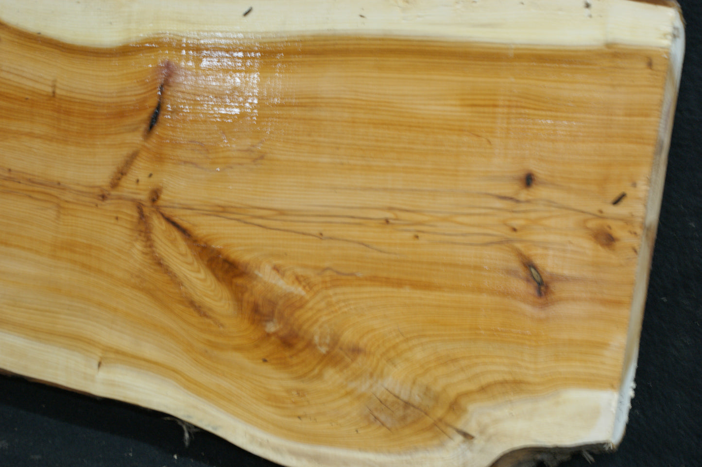 English Yew Shelf. (598)