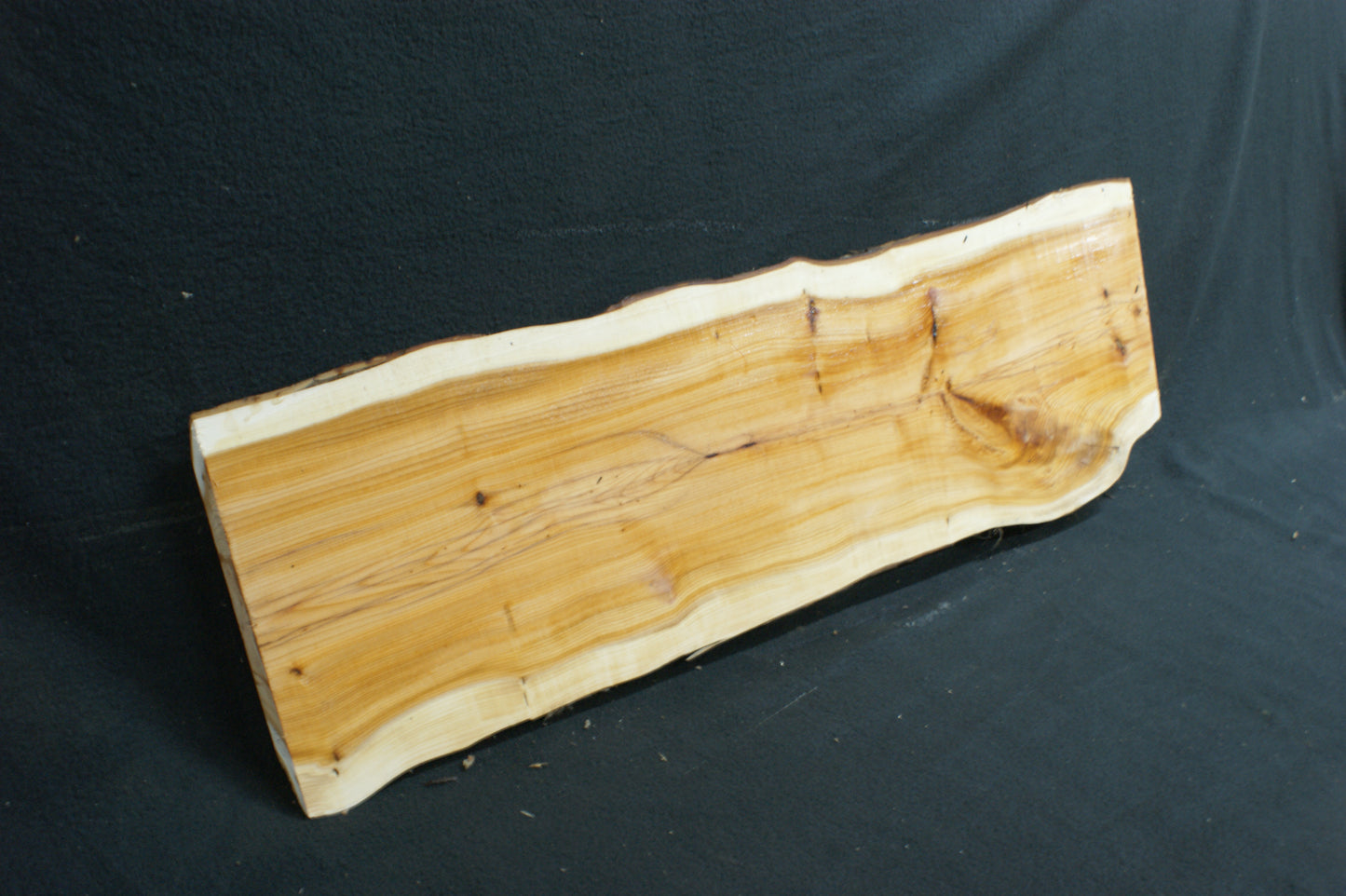 English Yew Shelf. (598)