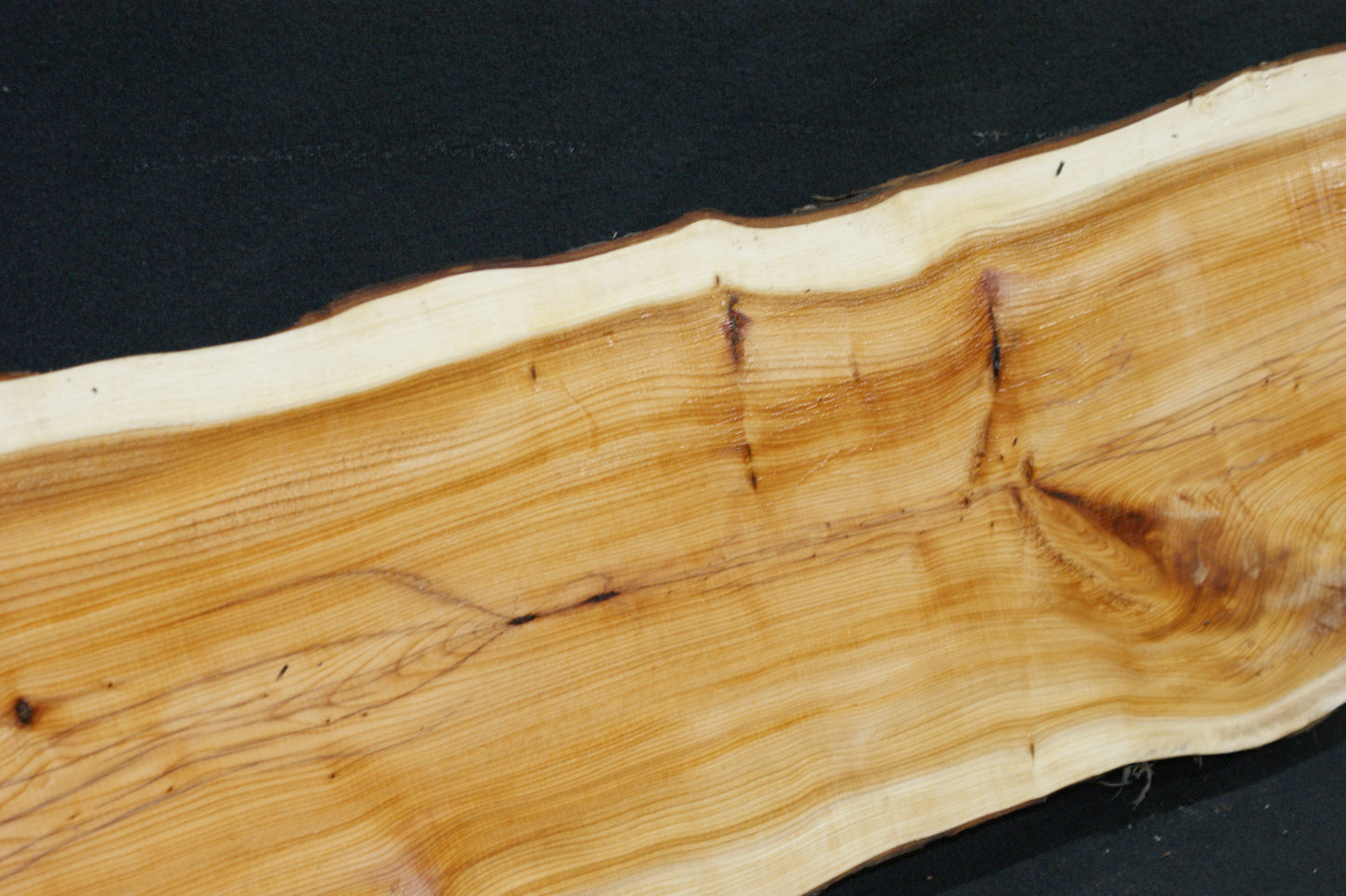 English Yew Shelf. (598)