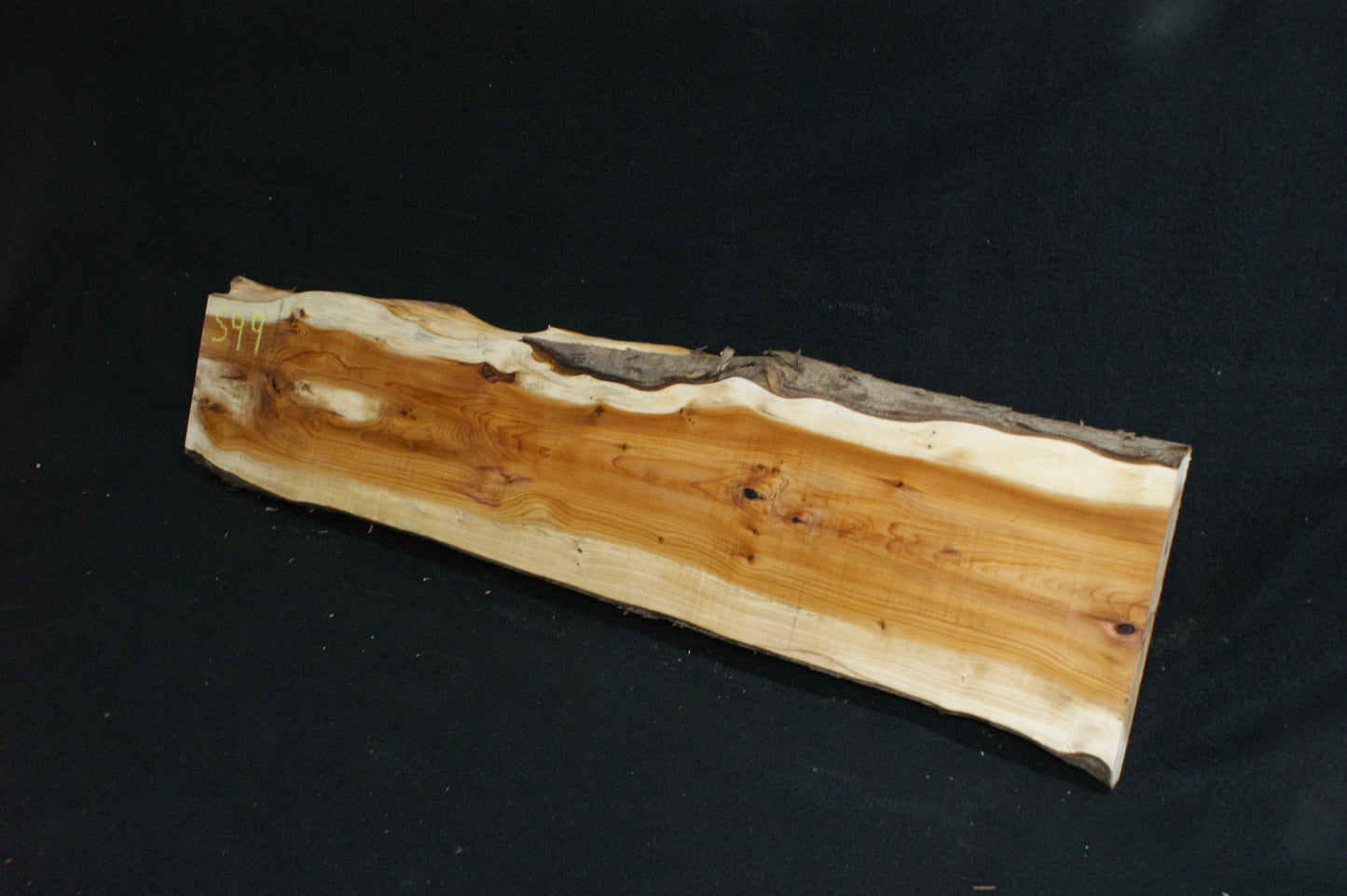 English Yew Shelf. (599)
