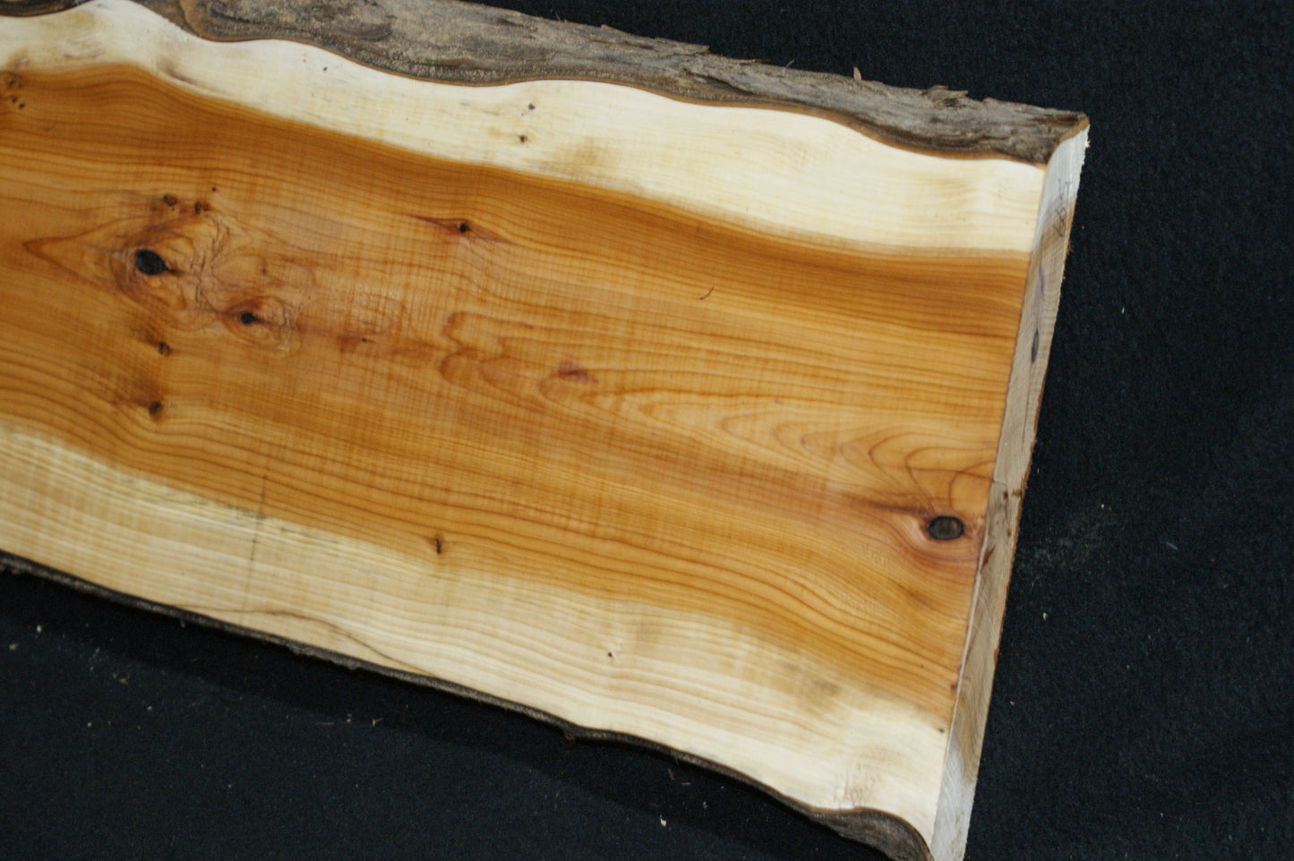 English Yew Shelf. (599)