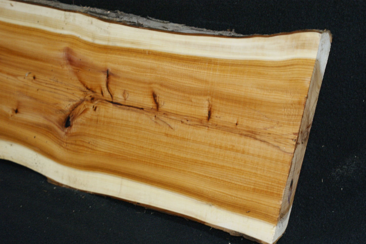 English Yew Shelf. (599)