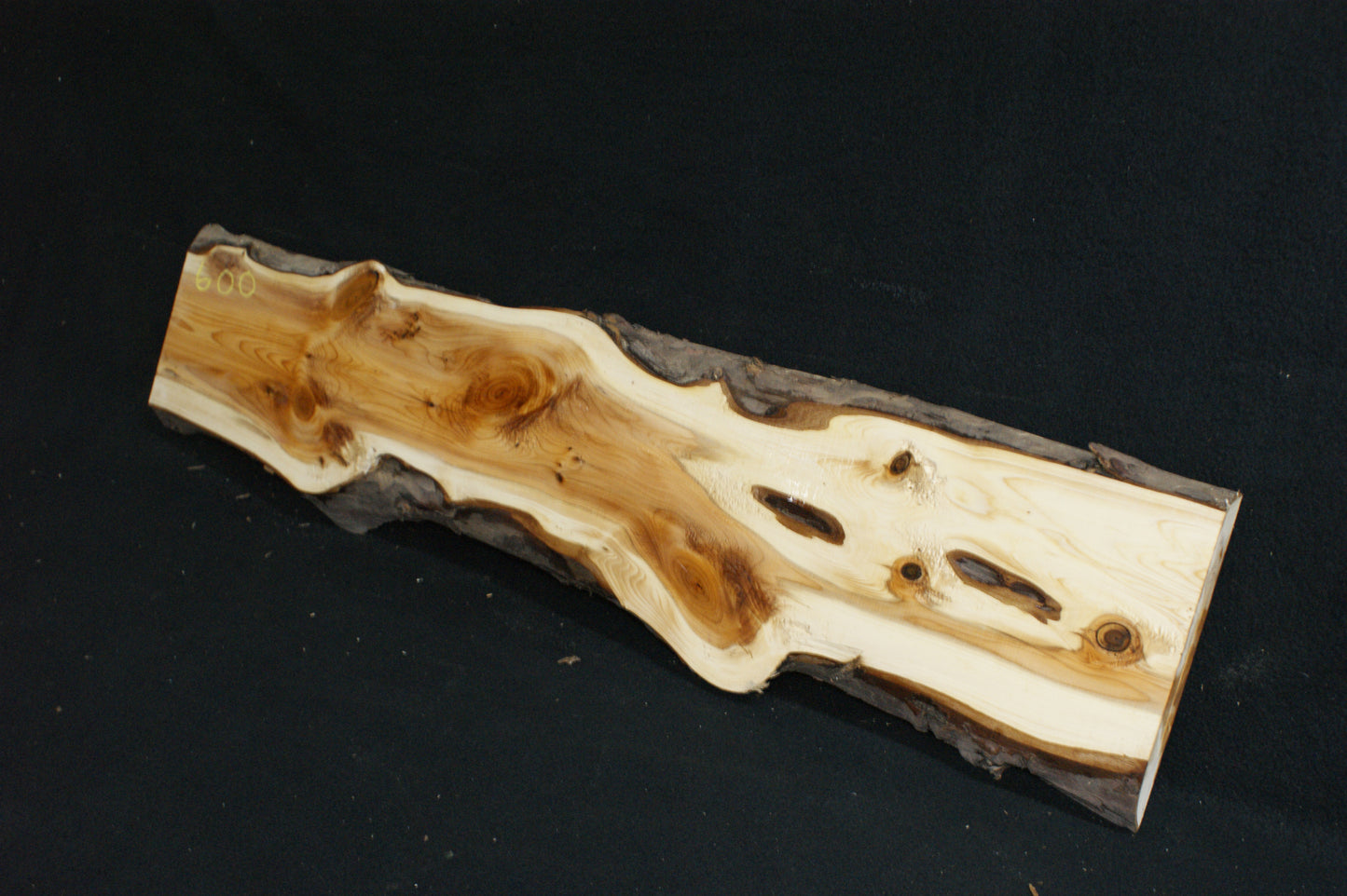 English Yew Shelf. (600)