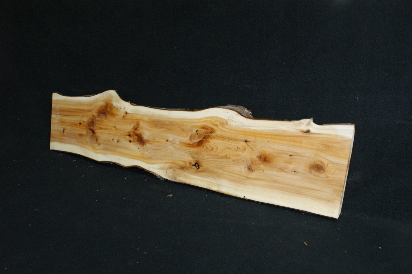 English Yew Shelf. (600)